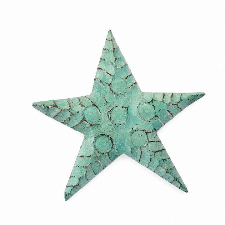Estrela de Mar Gorda com Círculos - Verde
