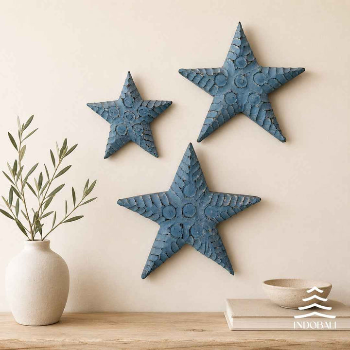 Estrela de Mar Gorda com Círculos - Azul